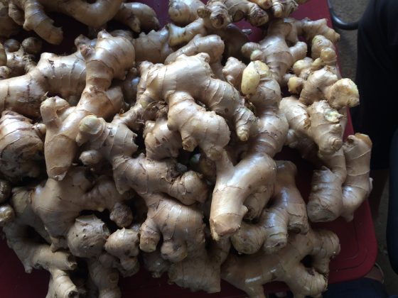 vietnam-fresh-ginger